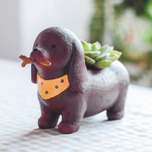 Load image into Gallery viewer, Image of a dachshund flower pot in the cutest mini succulent Wiener-Dog design