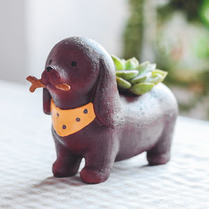 Image of a dachshund flower pot in the cutest mini succulent Wiener-Dog design