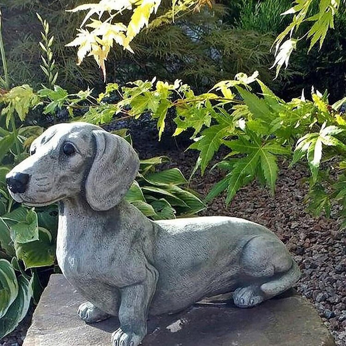 Image of a timeless dachshund garden statue sitting in the garden around lush green leaves