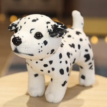 Load image into Gallery viewer, image of an adorable dalmatian stuffed animal plush toy standing on the table - standing