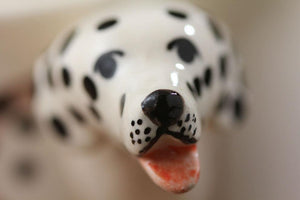 Dalmatian Love 3D Ceramic CupMug