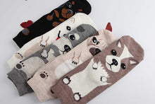 Load image into Gallery viewer, Doggo Love Womens Cotton SocksSocks