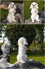 Load image into Gallery viewer, Image of a super cute namaste White Doodle garden statue