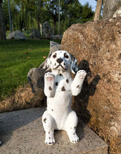 Load image into Gallery viewer, Double Wave Dalmatian Garden Statue-Home Decor-Dalmatian, Dogs, Home Decor, Statue-1