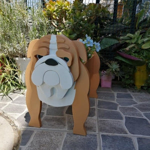 Image of a super cute English Bulldog flower pot in the most adorable 3D orange English Bulldog design