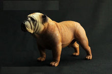 Load image into Gallery viewer, Image of a cutest brown color English Bulldog statue figurine