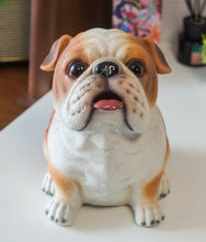 Load image into Gallery viewer, Image of an english bulldog piggy bank in the most adorable English Bulldog design