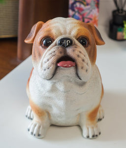 Image of an english bulldog piggy bank in the most adorable English Bulldog design