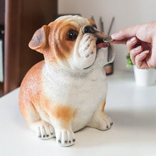 Load image into Gallery viewer, Image of an english bulldog piggy bank in the most adorable Bulldog design