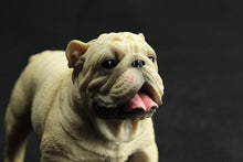 Load image into Gallery viewer, English Bulldog Small Lifelike FigurineHome Decor