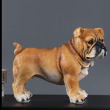 Load image into Gallery viewer, Image of a stunning, realistic, and lifelike English Bulldog statue, made of resin
