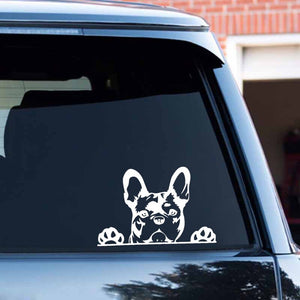 Image of peeping french bulldog car decal in the color white