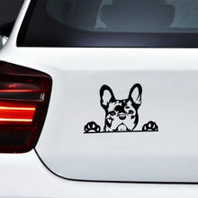 Load image into Gallery viewer, Image of peeping french bulldog car decal in the color black