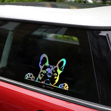 Load image into Gallery viewer, Image of peeping french bulldog car decal in the color reflective rainbow