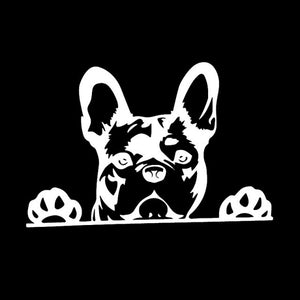 Image of peeping french bulldog car sticker in the color white