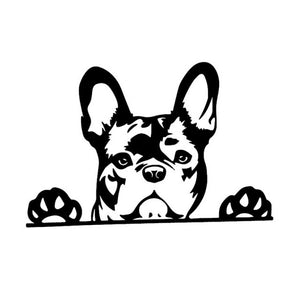 Image of peeping french bulldog car sticker in the color black