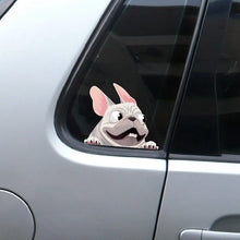 Load image into Gallery viewer, Image of a white french bulldog car sticker