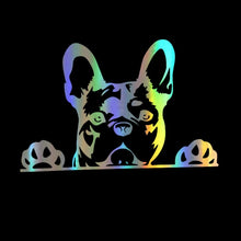 Load image into Gallery viewer, Image of peeping french bulldog car sticker in the color reflective rainbow