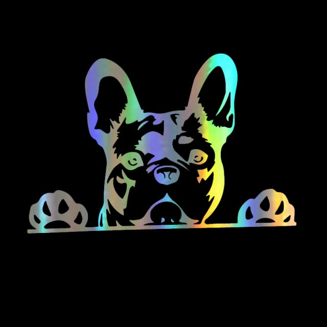 Image of peeping french bulldog car sticker in the color reflective rainbow
