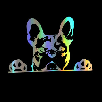 French Bulldog Car Sticker 360x