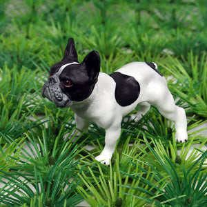 Image of a standing french bulldog figurine in the color pied black and white
