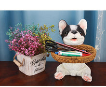 Load image into Gallery viewer, Image of a smiling pied black and white french bulldog tabletop organiser holding basket can be used as french bulldog piggy bank