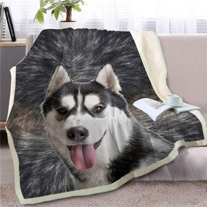 An image of a gorgeous Husky blanket with Husky design