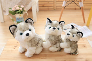Image of three super cute Husky stuffed animals plush toys in different sizes sitting next to each other on a wooden table