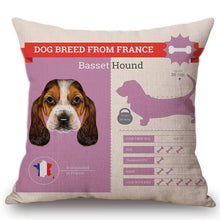 Load image into Gallery viewer, Know Your Basset Hound Cushion Cover - Series 1Home DecorOne SizeBasset Hound