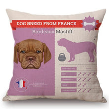 Load image into Gallery viewer, Know Your Basset Hound Cushion Cover - Series 1Home DecorOne SizeBordeaux Mastiff