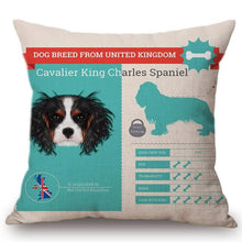 Load image into Gallery viewer, Know Your Basset Hound Cushion Cover - Series 1Home DecorOne SizeCavalier King Charles Spaniel