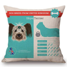 Load image into Gallery viewer, Know Your Japanese Chin Cushion Cover - Series 1Home DecorOne SizeSkye Terrier