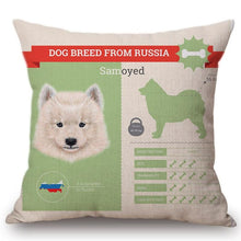 Load image into Gallery viewer, Know Your Russian Spaniel Cushion Cover - Series 1Home DecorOne SizeSamoyed