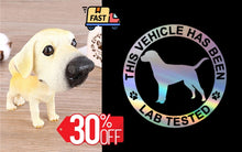 Load image into Gallery viewer, Labrador Love Car Bobble Head-Car Accessories-Bobbleheads, Car Accessories, Dogs, Figurines, Labrador-Labrador Standing + Car Sticker-Express Shipping-17