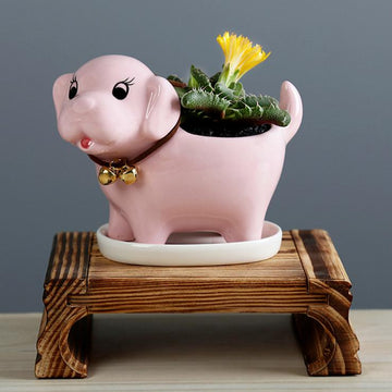 Labrador Love Succulent Plants Ceramic Flower Pot 360x