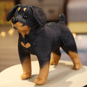 Lifelike Dog Stuffed Animals with Cotton Plush and PP Cotton Filling-Soft Toy-Dogs, Stuffed Animal-Rottweiler-5