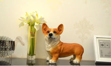 Load image into Gallery viewer, Lifelike Red Corgi Resin StatueHome Decor
