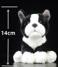 Load image into Gallery viewer, image of a boston terrier stuffed animal plush toy  - sizes