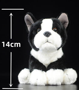 image of a boston terrier stuffed animal plush toy  - sizes
