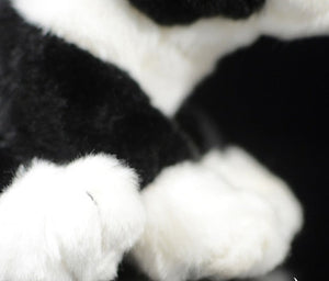 image of a boston terrier stuffed animal plush toy  - closeup
