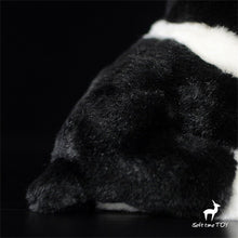Load image into Gallery viewer, image of a boston terrier stuffed animal plush toy  - material