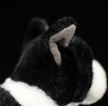 Load image into Gallery viewer, image of a boston terrier stuffed animal plush toy  - ears 