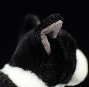 image of a boston terrier stuffed animal plush toy  - ears 