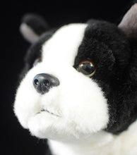 Load image into Gallery viewer, image of a boston terrier stuffed animal plush toy  - face