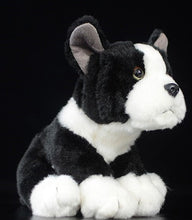 Load image into Gallery viewer, image of a boston terrier stuffed animal plush toy  