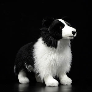 Lifelike Standing Border Collie Soft Plush Toy-Home Decor-Border Collie, Dogs, Home Decor, Soft Toy, Stuffed Animal-7