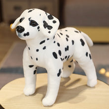 Load image into Gallery viewer, image of a dalmatian stuffed animal plush toy