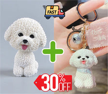 Load image into Gallery viewer, Love Maltese Car Bobble Head-Car Accessories-Bobbleheads, Car Accessories, Dogs, Figurines, Maltese-Maltese Bobblehead + Keychain-Express Shipping-14