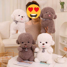 Load image into Gallery viewer, Image of a lady posing with four super cute Bichon Frise Stuffed Animals