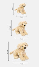 Load image into Gallery viewer, image of golden retriever stuffed animal size chart